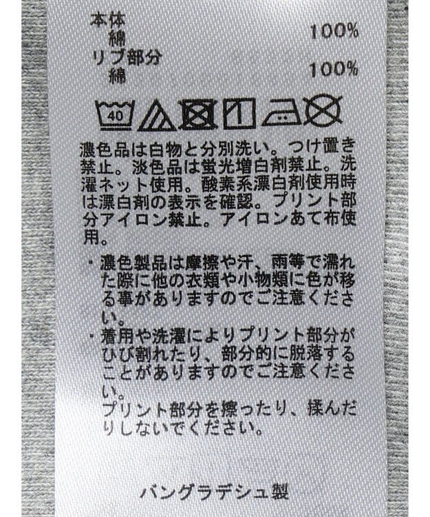 AMERICAN HOLIC 発泡ロゴポンチプルオーバー Light Gray Mixture