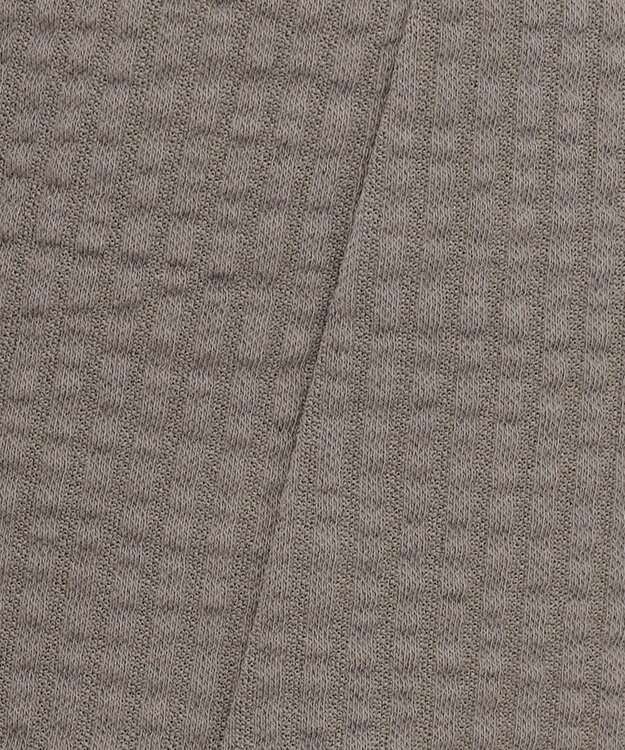 J.PRESS LADIES L 【WEB限定カラーあり・抗菌消臭・吸水速乾】サッカージャージー キーネック カットソー ブラウン系