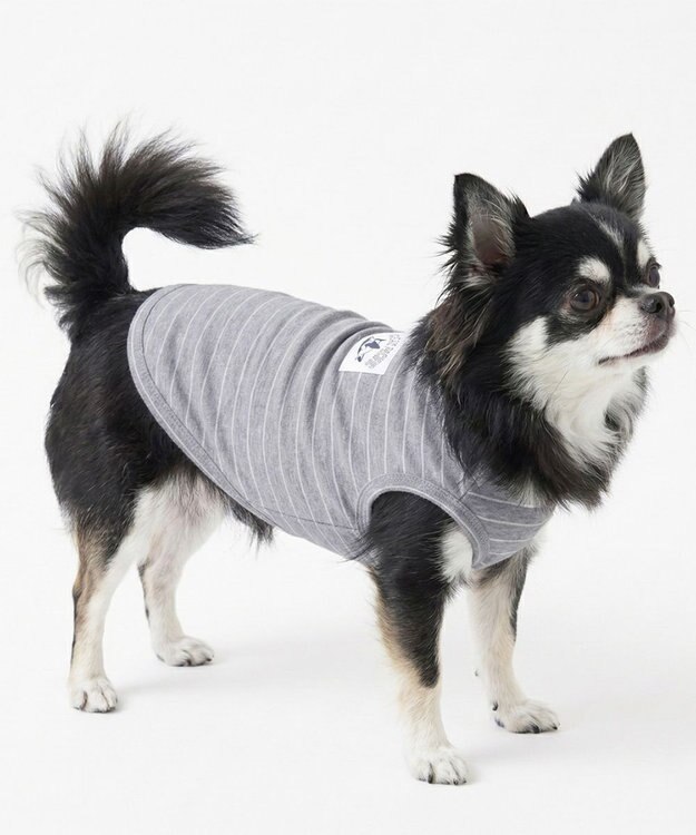 OP／FILA 【Ocean Pacific】サーフスタイルドッグウェア ペットウェア グレー