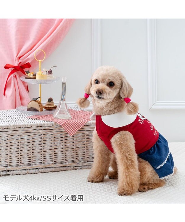 PET PARADISE リサとガスパール トレーナー ワンピース 《レッド》 小型犬 レッド