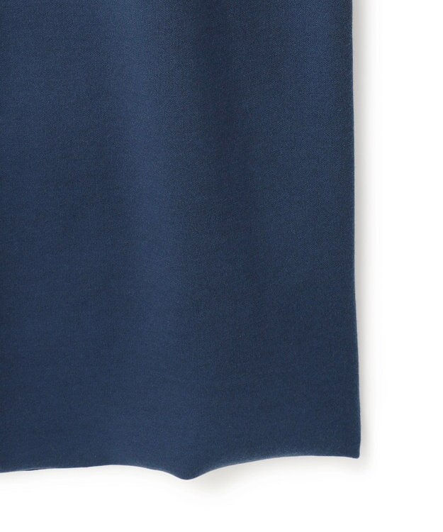 ICB 【洗える】 シルキーウールダブルフェイス ハイネックニットワンピース ブルーグレー