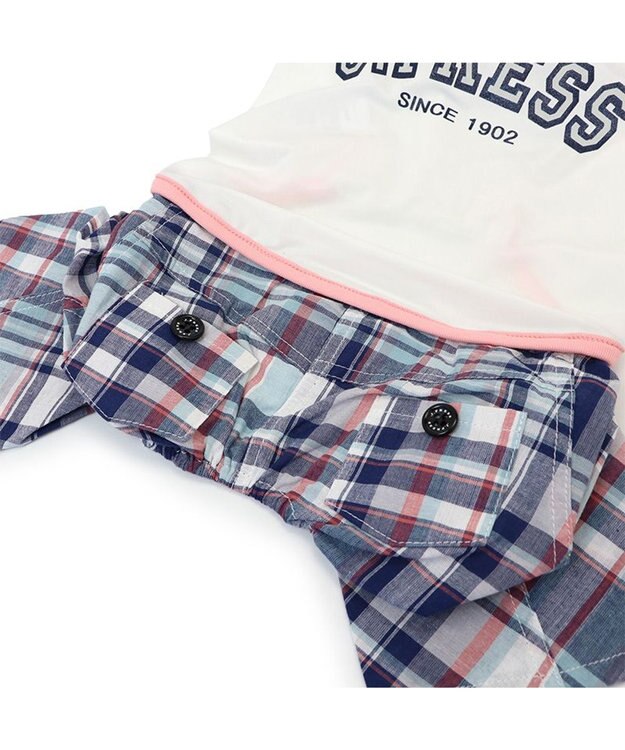 PET PARADISE J.PRESS クール 接触冷感 パンツつなぎ マドラスパンツ 小型犬 ホワイト