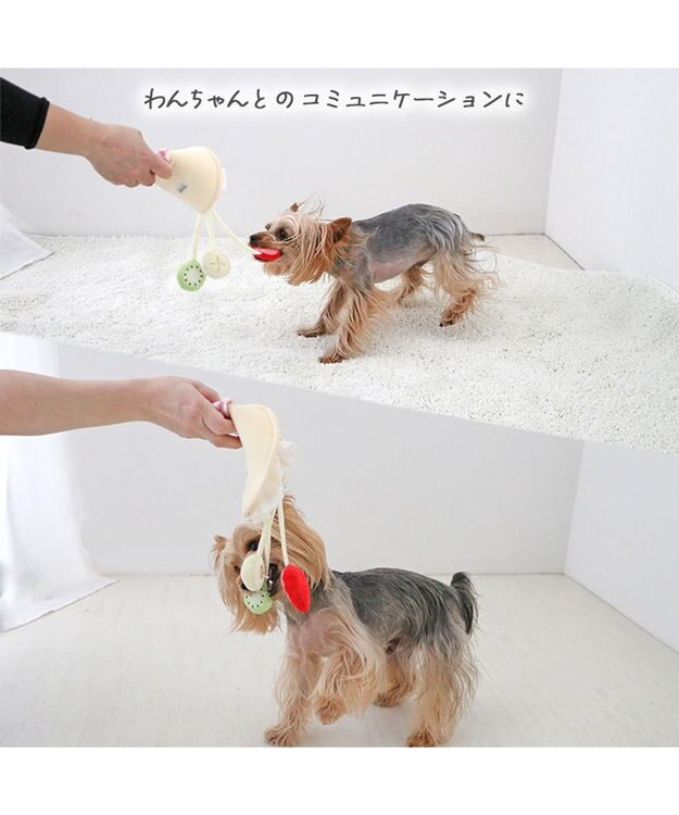 PET PARADISE ペットパラダイス クレープ ノーズワーク トイ イエロー