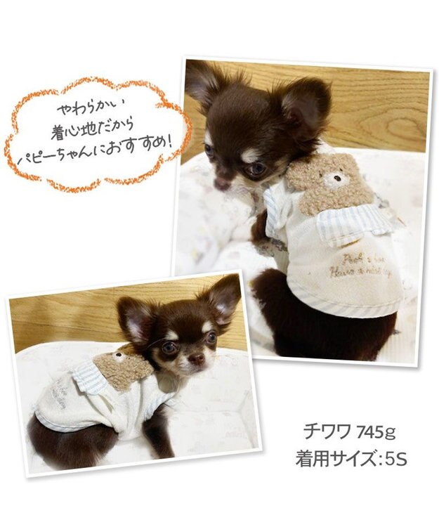 PET PARADISE ペットパラダイス サーモキープ タンクトップ  《くま パンツ柄》小型犬 白~オフホワイト