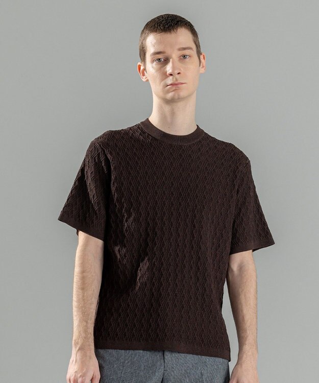 JOSEPH HOMME 【洗える】ドライコットンリンクス　半袖クルーネックニット ダークブラウン系