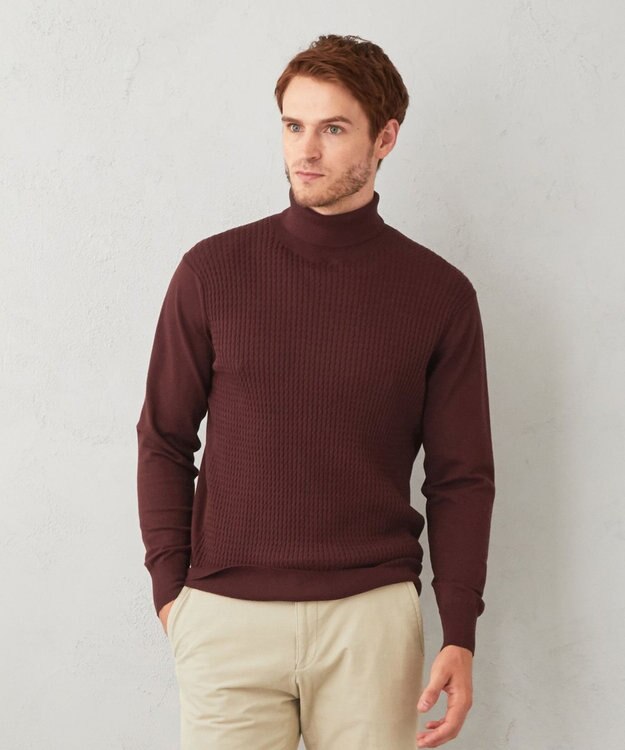 JOSEPH ABBOUD 【チクチクしない/イージーケア】SNOWYタートルネックニット ワイン系