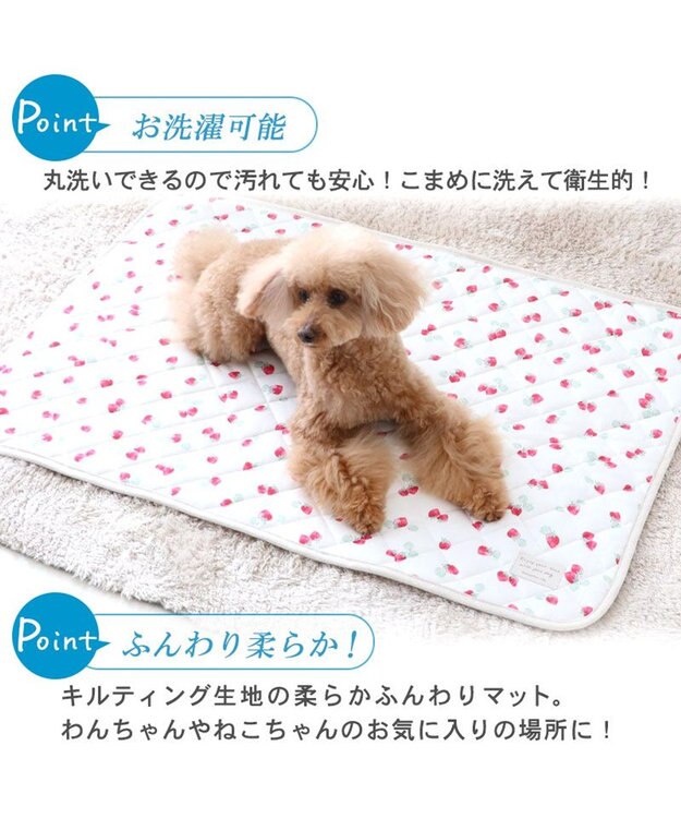 PET PARADISE 接触冷感 柔らか クールマットM《苺 ネイティブ 》 (90×60cm) 苺柄