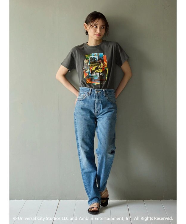 Green Parks ■ＪＵＲＡＳＳＩＣ　ＰＡＲＫ　コラージュｐｃＴ Black