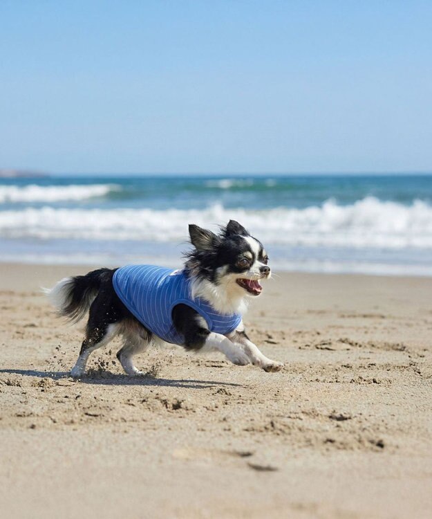 OP／FILA 【Ocean Pacific】サーフスタイルドッグウェア ペットウェア ブルー