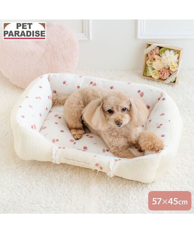 PET PARADISE ペットパラダイス カドラー 《花苺柄》 Ｍ