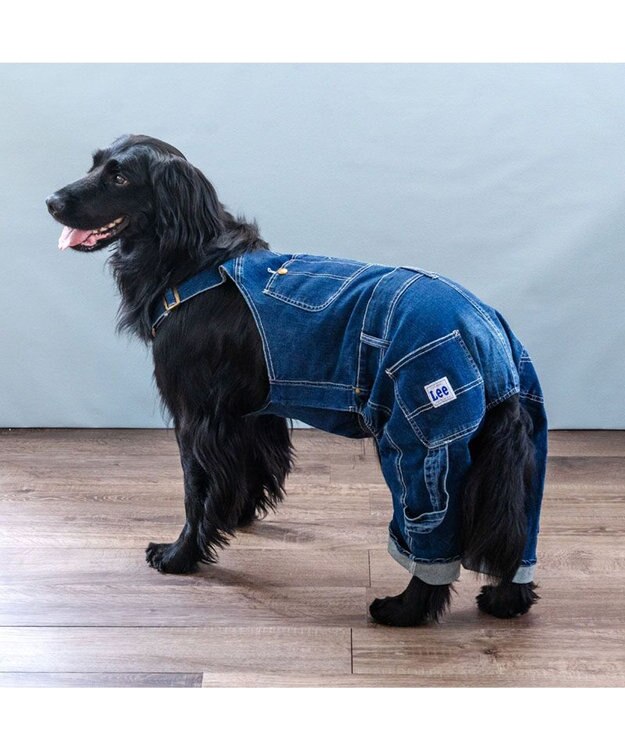 PET PARADISE Lee デニム 白ステッチ オーバーオール  中型犬 大型犬 ネイビー
