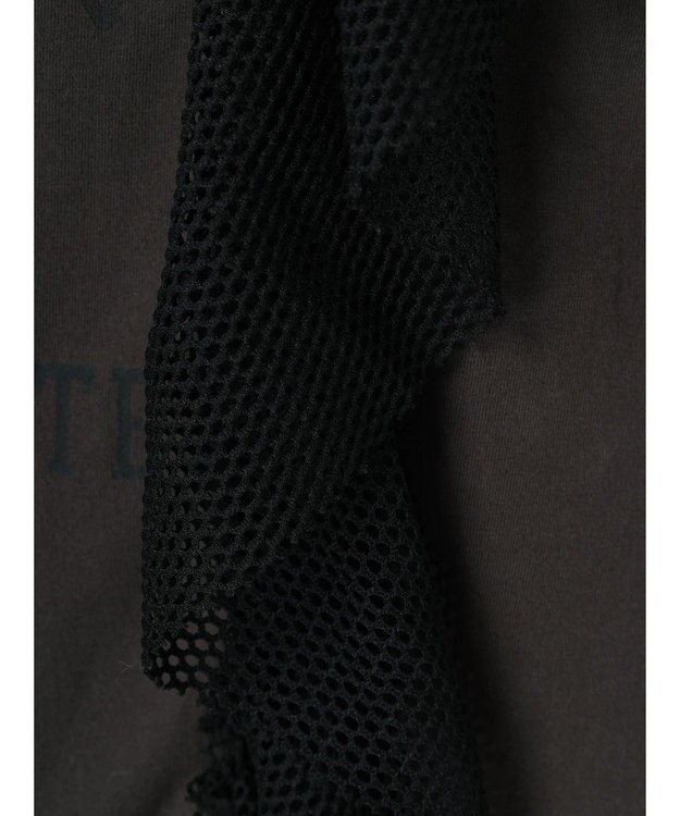 Green Parks ・ＳＵＧＡＲ　ＳＰＯＯＮ　ＴＩＧＥＲｐｔラッフルフレンチＴ Charcoal Gray