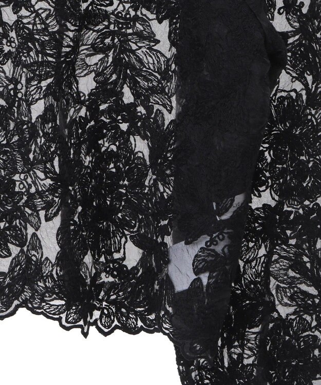 AMERICAN HOLIC 前後２WAYシアーレースブラウス Black