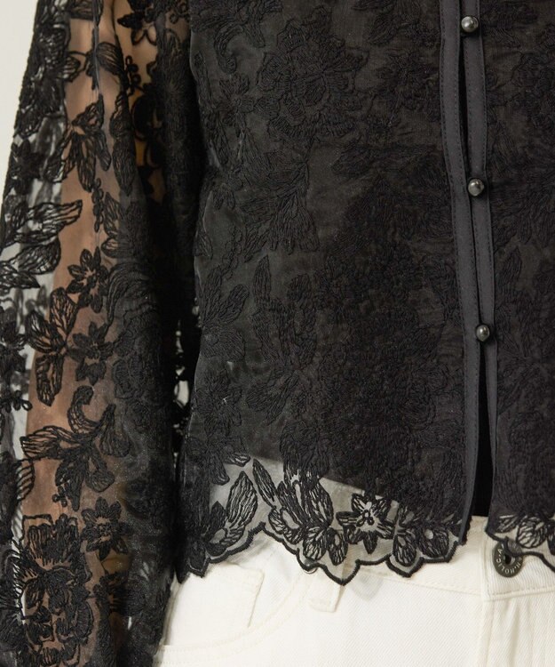 AMERICAN HOLIC 前後２WAYシアーレースブラウス Black