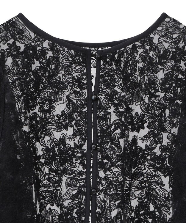 AMERICAN HOLIC 前後２WAYシアーレースブラウス Black