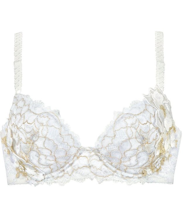 Wing Wing Lesiage　【2780シリーズ】　ブラジャー　ふっくらまる胸　総レース　ウイング／ワコール　PB2780 アイボリー