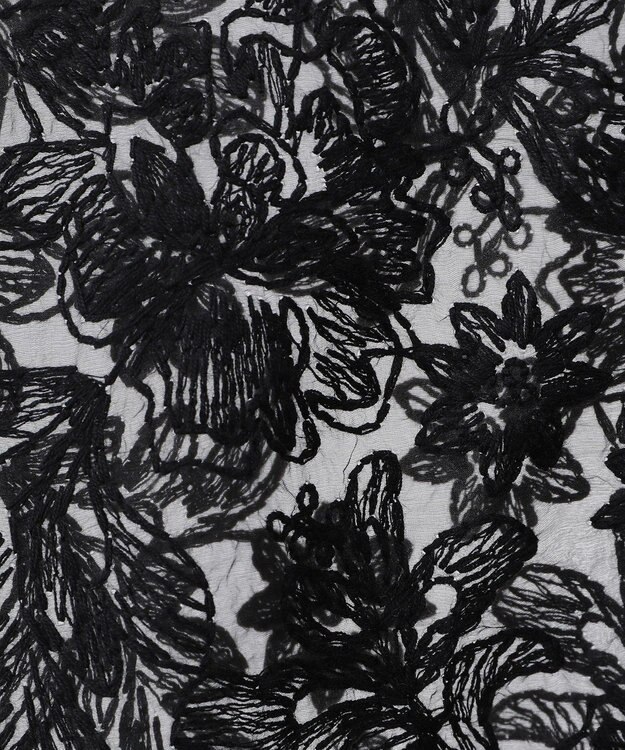 AMERICAN HOLIC 前後２WAYシアーレースブラウス Black