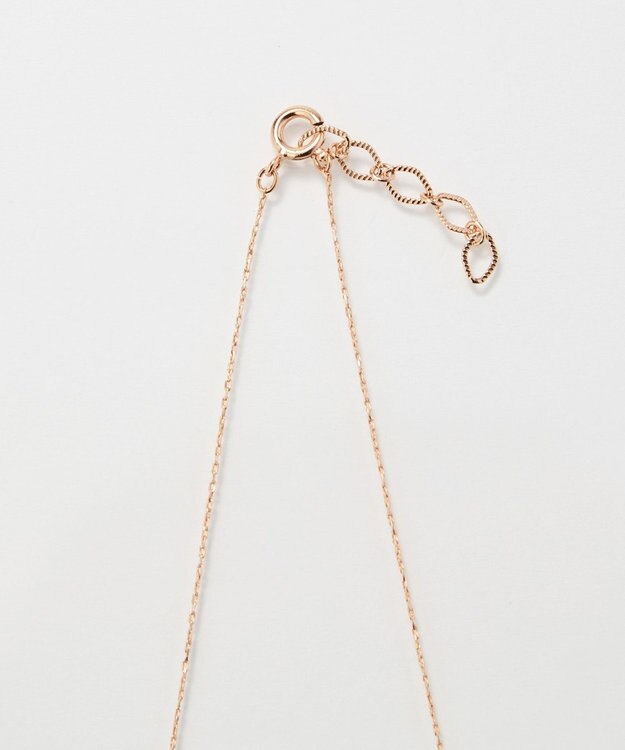 Phoebe 【金属アレルギー対応】シャイニーフチミルネックレス　シャンパンゴールド シャンパンゴールド