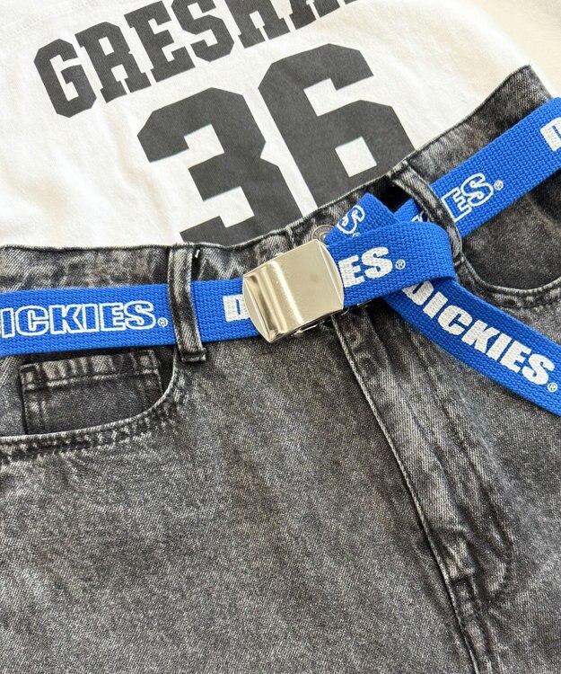 WEGO 【ユニセックス着用ITEM】Dickies　ロゴプリントベルト ブルー