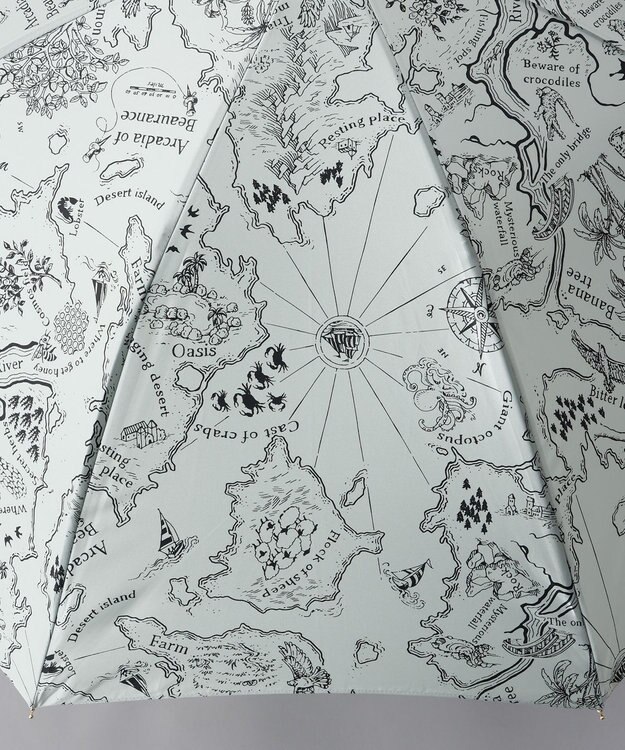 AURORA  Beaurance （ビューランス） オリジナルプリント雨傘（長傘） ミントグリーン