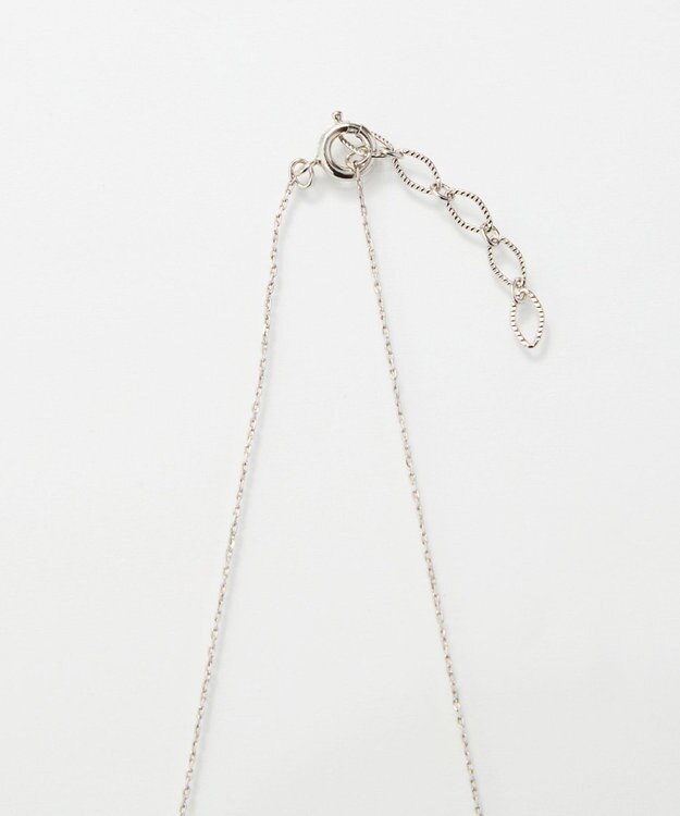 Phoebe 【金属アレルギー対応】シャイニーフチミルネックレス　シルバー シルバー