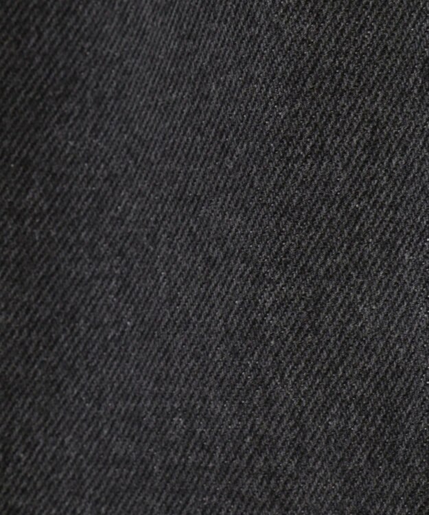 Green Parks ・ＤＯＵＢＬＥ　ＦＬＡＧＳ　サイドリボン刺繍デニ Black