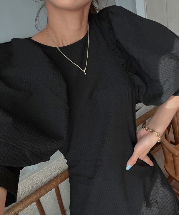 Green Parks AnriettMusee バックカットワークワンピース Black