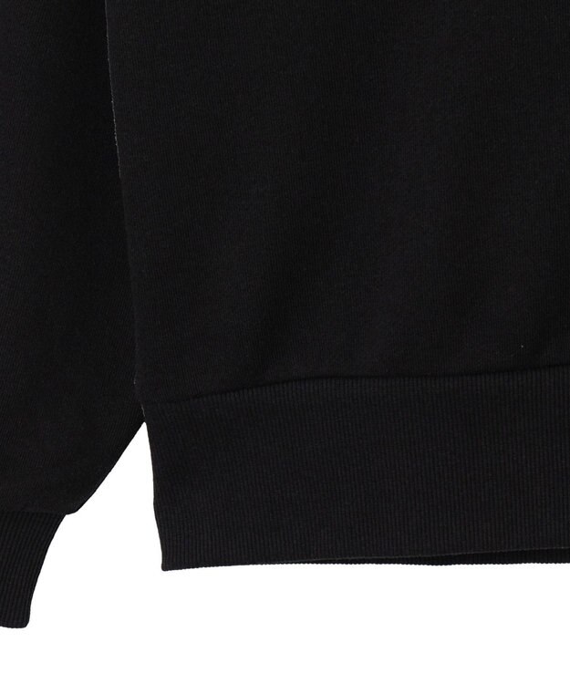 WEGO グラフィックハーフジップビッグスウェット ブラック