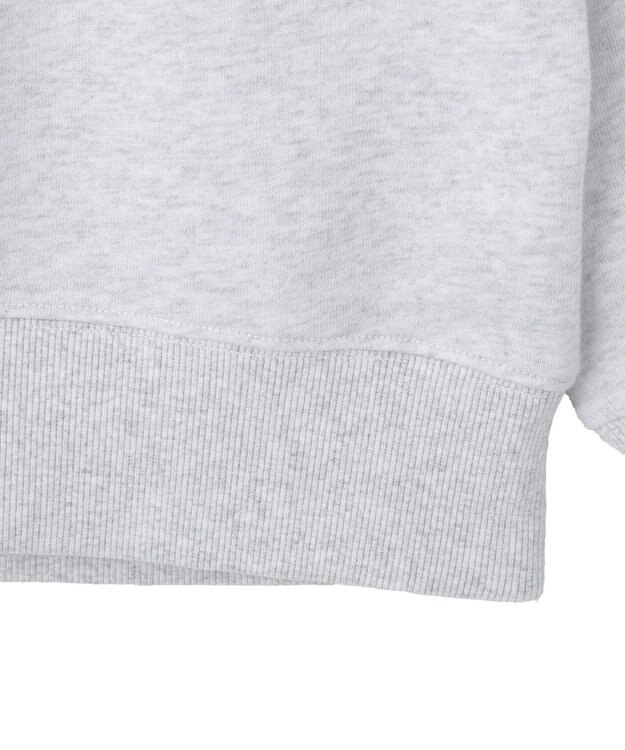 AMERICAN HOLIC カレッジロゴ裏毛スウェット Light Gray