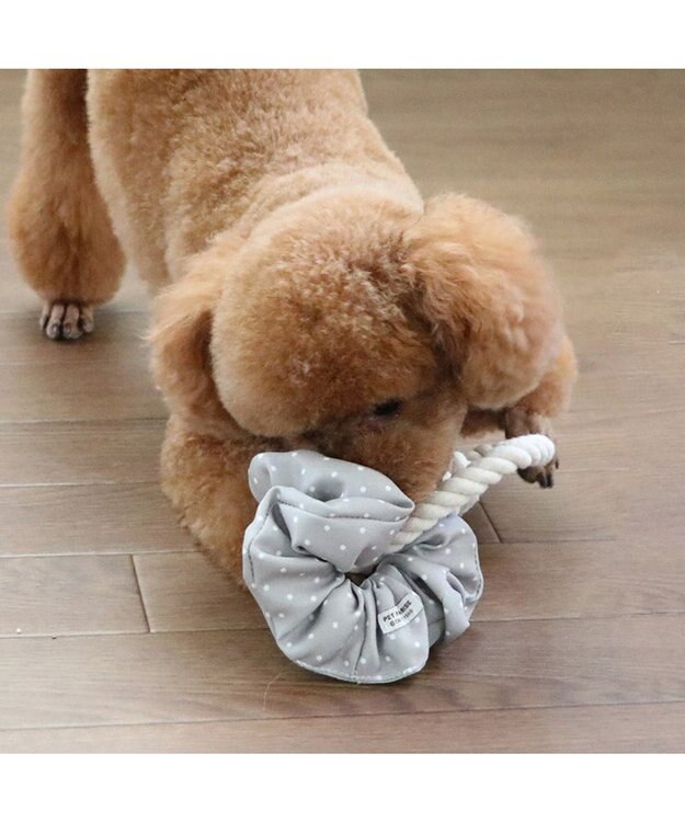 PET PARADISE ペットパラダイス 引っ張り シュシュ トイ  《 花柄 / ドット柄 》 水玉