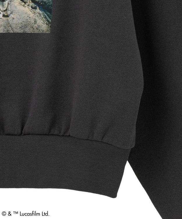 Green Parks ＳＴＡＲ　ＷＡＲＳ／オフショルスウェット Charcoal Gray