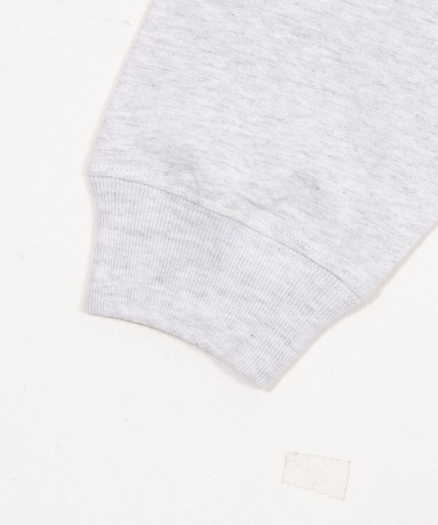 WEGO グラフィックBIG　T（長袖） アッシュグレー