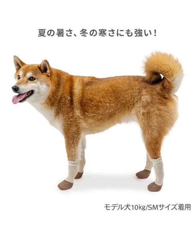 PET PARADISE ペットパラダイス フリル フィット靴 ＳＭ ベージュ×ブラウン