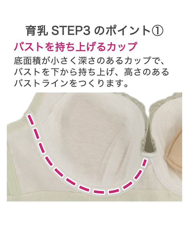 BRADELIS New York 【BRADELIS New York / 育乳STEP3 持ち上げる】ヴィオラステップ3ブラ24A1 補正 ライトグリーン