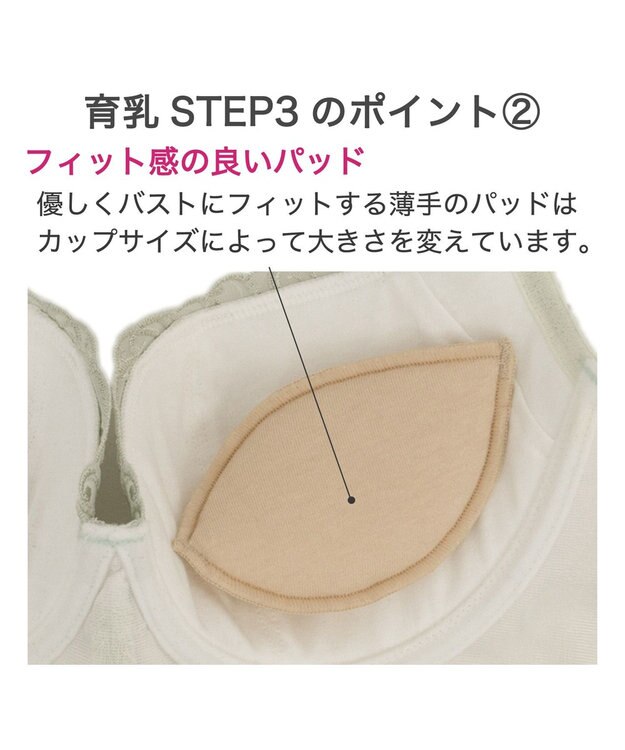 BRADELIS New York 【BRADELIS New York / 育乳STEP3 持ち上げる】ヴィオラステップ3ブラ24A1 補正 ライトグリーン