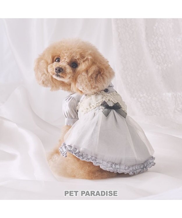 PET PARADISE cherircouture ドッキングワンピース 小型犬 グレー