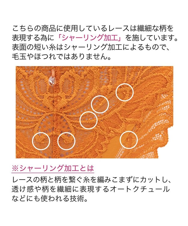 BRADELIS New York 【BRADELIS New York】　サポートバックラインスタイルパンティ23A1 マリーゴールド