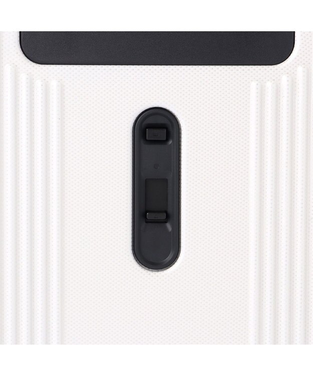 ACE BAGS & LUGGAGE World Traveler ボトムベイ スーツケース 34リットル 2~3泊 3kg 機内持ち込みサイズ キャスターストッパー 双輪キャスター 06951 ワールドトラベラー キャリーケース ホワイトカーボン