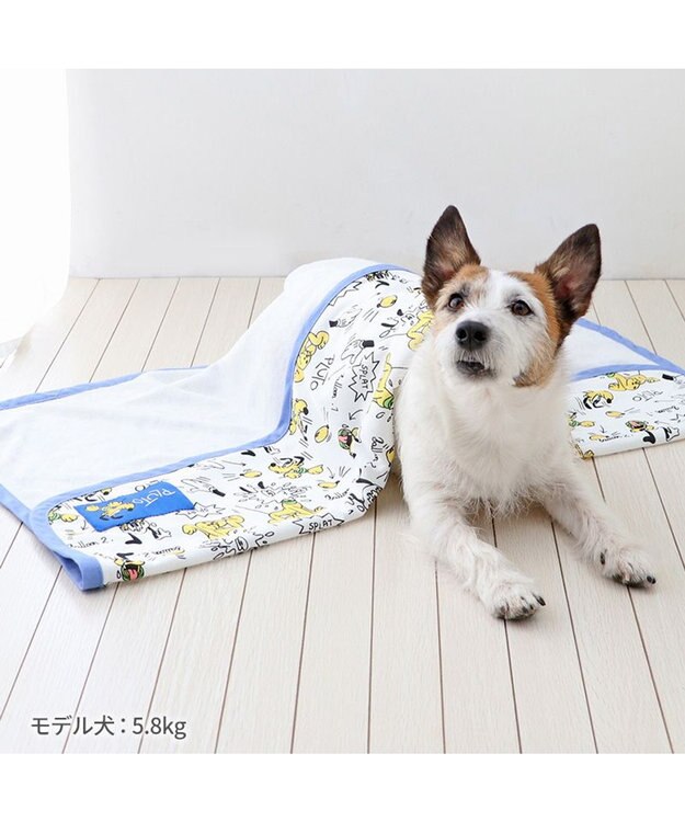 PET PARADISE ディズニー プルート クールケット 小型犬 ブランケット