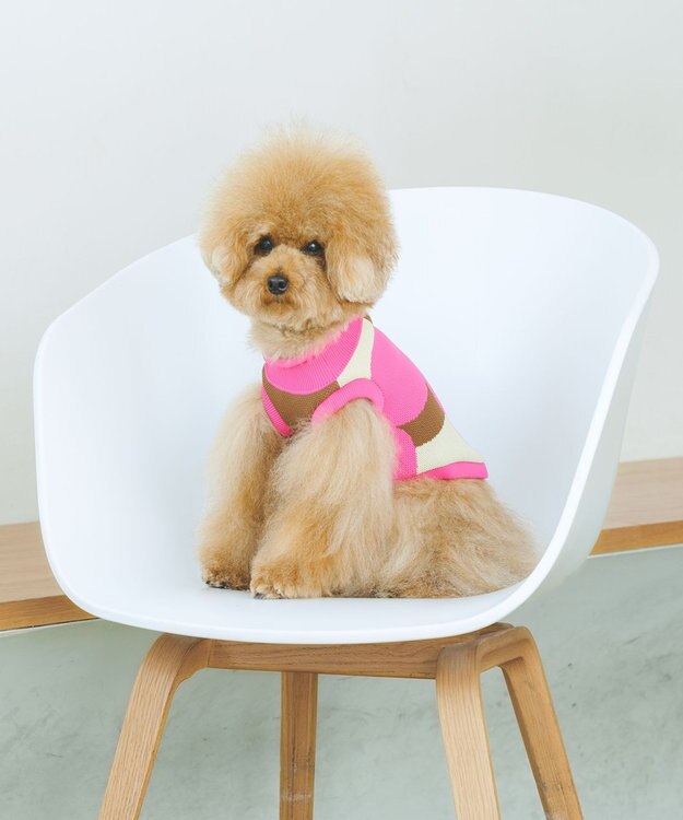 COQ LINE DOTS ドットドッグウェア ピンク