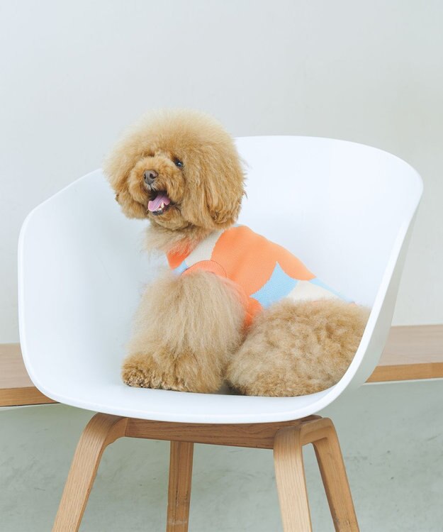 COQ LINE DOTS ドットドッグウェア オレンジ