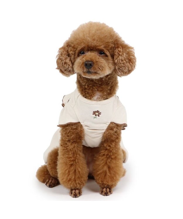 PET PARADISE ペットパラダイス  プレミアムペティヒート 花刺繍ワンピース  小型犬 ベージュ