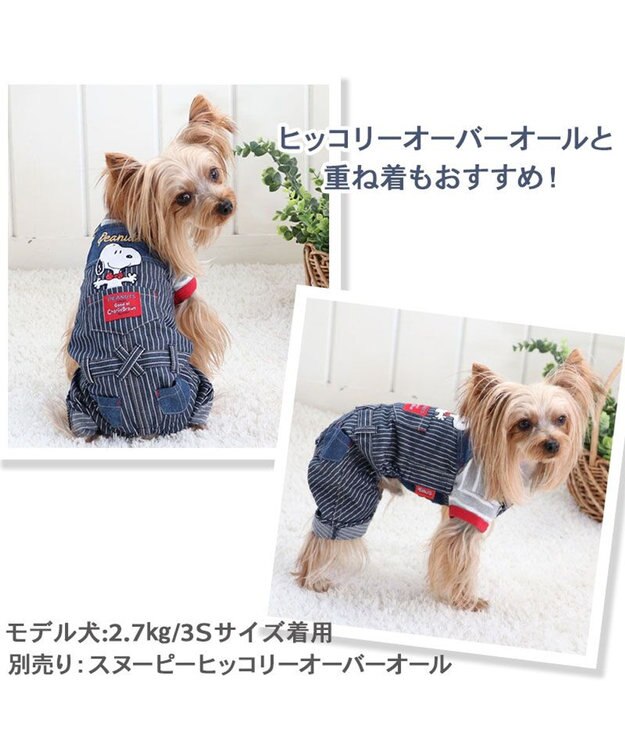 PET PARADISE 犬の服 犬 スヌーピー トレーナー 【小型犬】 ボーダー グレー