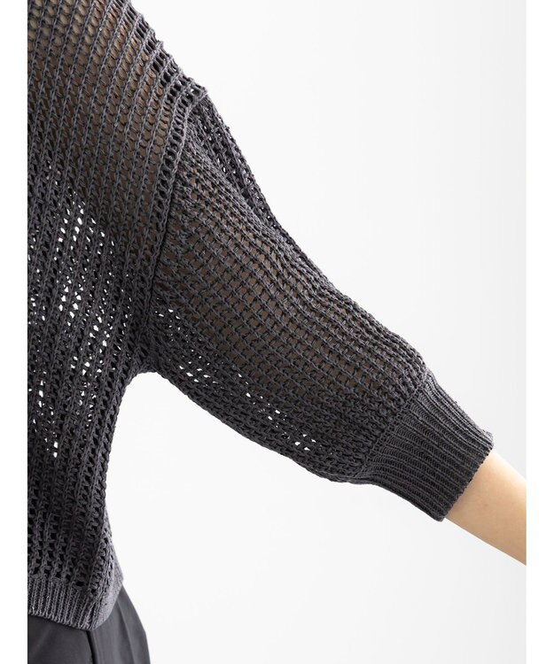 Te chichi スパンコールメッシュハーフスリーブニット《2025Autumn catalog item》 チャコールグレー