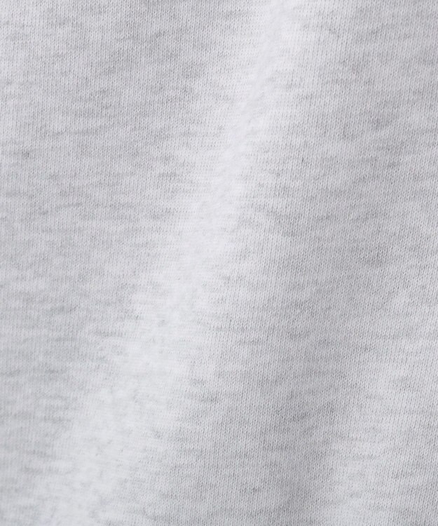 AMERICAN HOLIC カレッジロゴ裏毛スウェット Light Gray