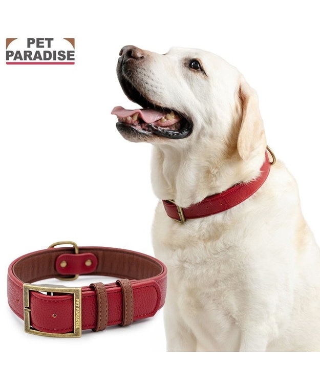 PET PARADISE ペットパラダイス ソフトレザー首輪 《ブルックレッド》 Ｌ ブルックレッド