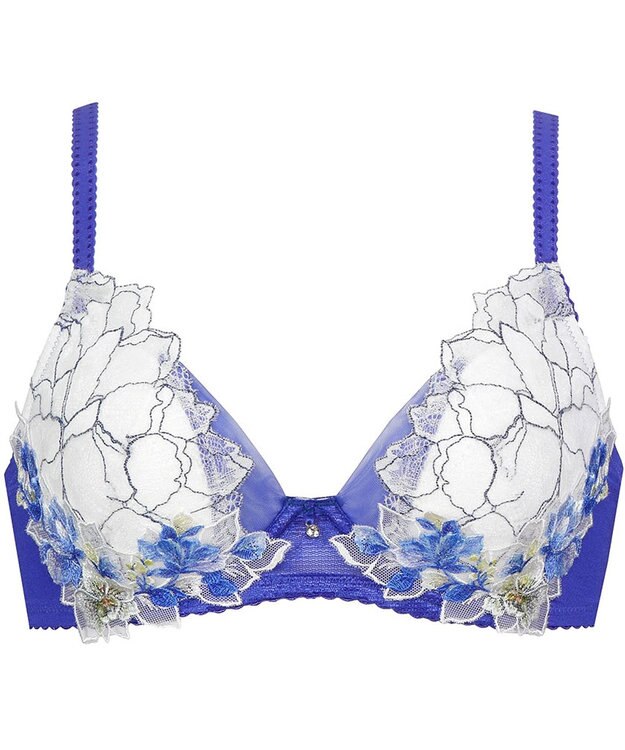 Wing Wing Lesiage　【2820シリーズ】　ブラジャー　ふっくらまる胸メイク　ウイング／ワコール　PB2820 ブルー