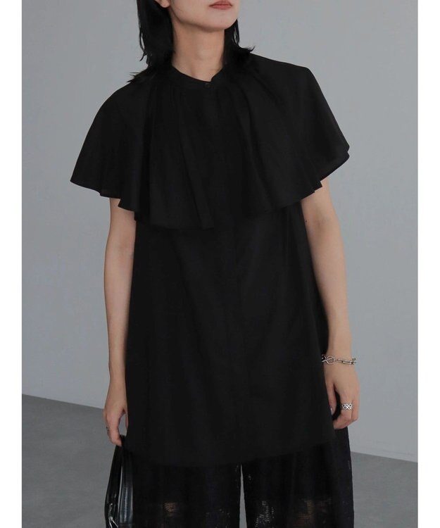 Green Parks ビックカラーナローブラウス Black