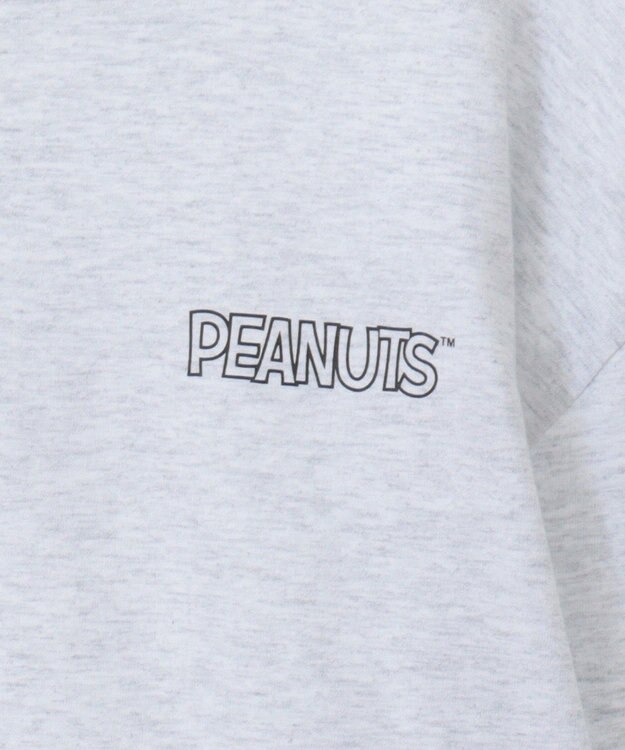 Green Parks ■ＰＥＡＮＵＴＳ　コミックロンＴ Oatmeal