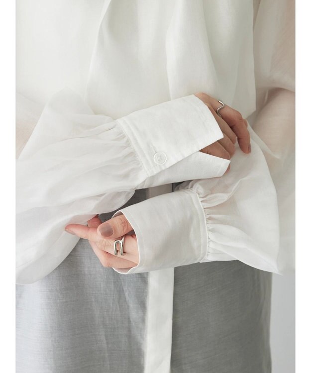 Green Parks AnriettMusee シアーボウタイブラウス Off White